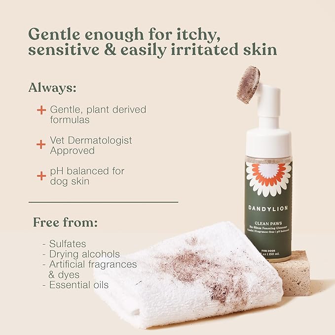 Dandylion Clean Paws | No-Rinse Dog Paw Cleaner & Puppy Paw Washer | Gentle, Fragrance-Free, pH Balanced Foaming Cleanser with Silicone Bristle Brush | Safe for All Dogs | 5 fl oz