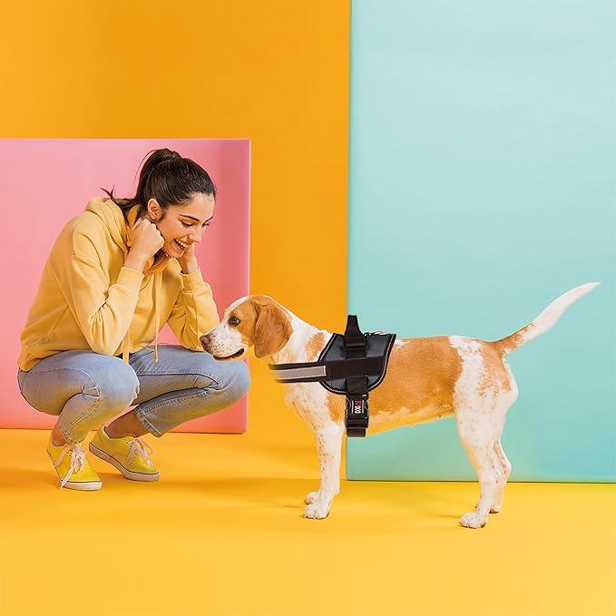 Dogline Dog Harness, Reflective No-Pull Adjustable Vest with Handle for Walking, Training, Breathable, No - Choke Harness for Small, Medium or Large Dogs Room for Patches Girth 15 to 18 in Black