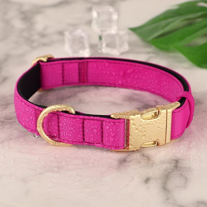 Didog Soft Padded Dog Collar for Large Dogs, Colorful and Durable Pet Collar with Quick Release Buckle, Light and Breathable for Daily Walking, Rose Purple, L