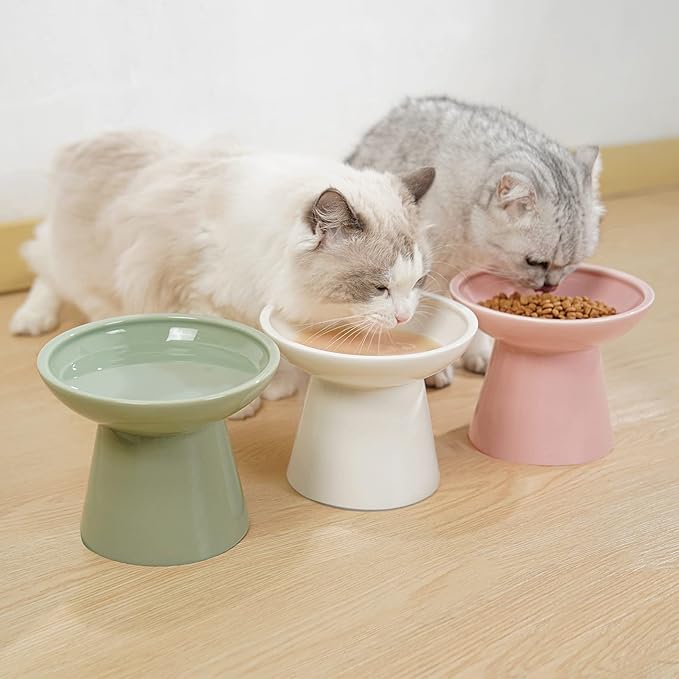Extra Wide Elevated Ceramic Cat Bowl - 6.2" Shallow Dish for Whisker Fatigue Relief, 5" Height for Easy Feeding, Lead & Cadmium Free, Durable Raised Cat Food Bowls, White