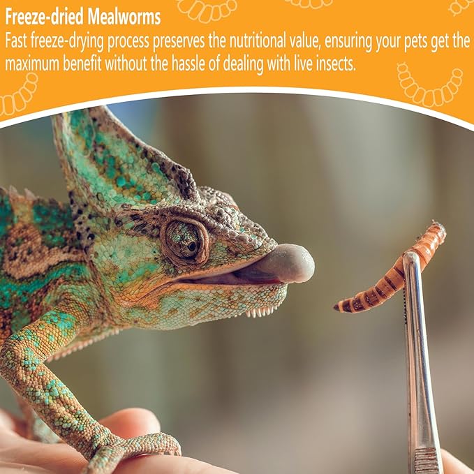 Freeze Dried Mealworms 6 Oz - High Protein Pet Food for Reptiles, Bearded Dragons, Birds & Hedgehogs - Nutrient-Packed Treat for Lizards, Geckos, Turtles, Chickens
