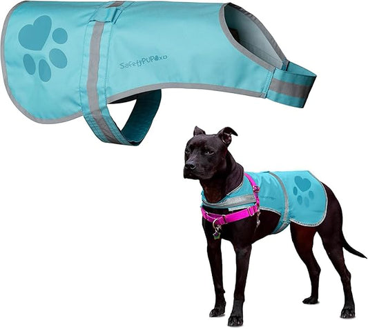 Dog Reflective Vest – Hi-Vis Fluorescent Visibility That Helps to Safeguard Your Pet On/Off Leash in Urban & Rural Areas (Teal, X-Large)