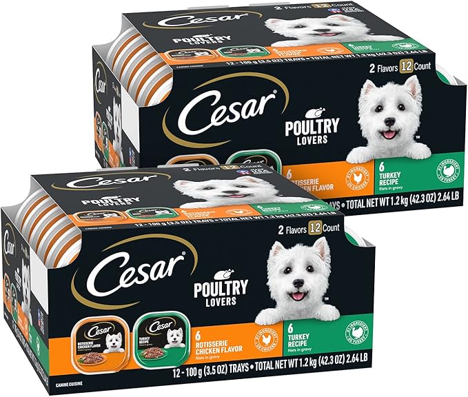 Cesar Filets in Gravy Adult Wet Dog Food, Poultry Lovers Multipack, 3.5 oz. (12 Count, Pack of 2)