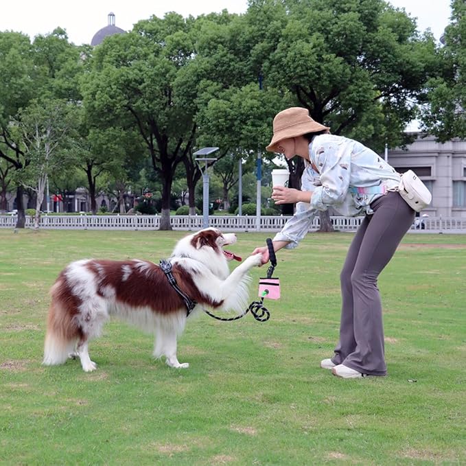 COOWONE Dog Treat Pouch with Pet Training Clicker, Detachable Dog Puppy Training Treat Bag, 900D Oxford Cloth Magnetic Closure Small Dog Walking Bag for Travel or Outdoor Use