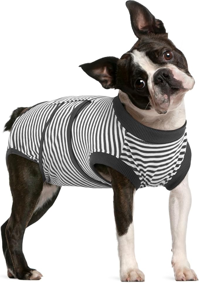 FUAMEY Dog Recovery Suit Male,Dogs Surgery Neuter Suits Puppy Spay Shirts for Female Protect Dog's Skin Anti Licking Abdominal Wounds Doggie Onesie Pet Bodysuit Alternative to Cone Gray Stripes L