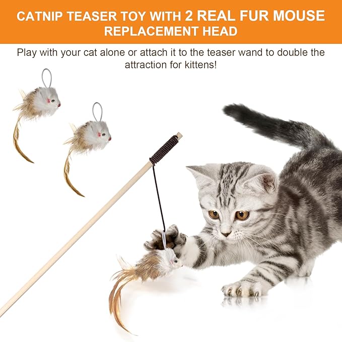 Cat Feather Toys with Catnip Ball, Feathers & Bell - 2 Replaceable Mouse Heads, Elastic Rope & Wooden Handle for Aggressive Kittens, Durable Bite-Proof Interactive Cat Teaser for Indoor Play