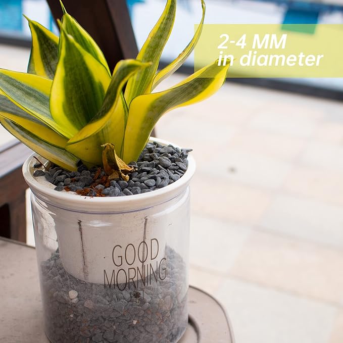 7lb Black Cactus Pea Gravel Rocks,1/4 Inch Pebbles for Indoor Plants, Natural Succulent Rock and River Rocks Decorative for Aquariums, Vases, Outdoor Gardening, Top Dressing for Potted Plants