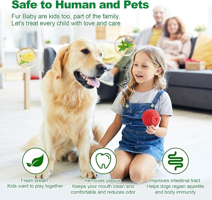 Dog Dental Powder,Dog Teeth Cleaning Powder,Dog Dental Cat Dental Care,Cat and Dog Teeth Cleaning,Canine Plaque Remover Helps Reduce Bad Breath,Improve Pet's Oral Cavity and Freshen Breath（80G）