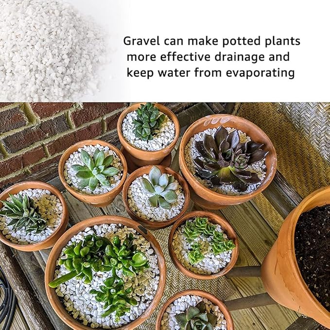 7lb White Cactus Pea Gravel Rocks,1/4 Inch Pebbles for Indoor Plants, Natural Succulent Rock and River Rocks Decorative for Aquariums, Vases, Outdoor Gardening, Top Dressing for Potted Plants