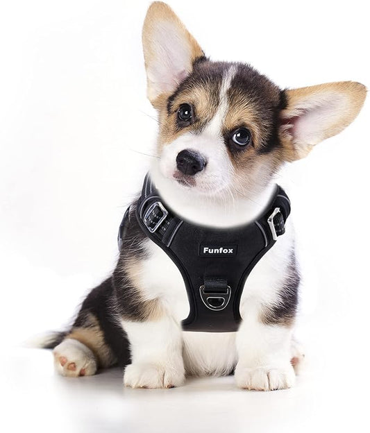 Funfox Dog Harness No Pull, Adjustable Dog Vest Harness, Super Soft Material with Vertical Handle Easy Control, Reflective Night Walking, 2 Leash Clips for Small Medium Large Size, Black, S