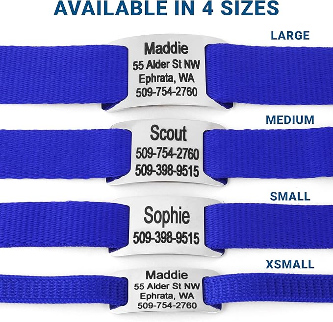 GoTags Personalized Dog Collar with Nameplate, Adjustable Dog Collar with Custom Engraved Slide On Pet ID Tag in Stainless Steel, Silent, No Noise Dog Tag for Large Medium and Small (Blue, X-Small)