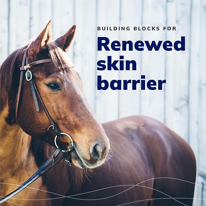 CeraSoothe® SA Otic Cleansing Solution 8oz