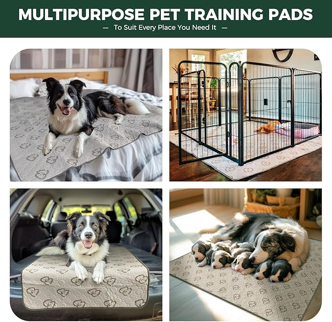 FXW Washable Pee Pads for Dogs, Puppy Pads with Super Absorbent, Specifically Designed for 42inch Cages, Rectangle, 41" x 27", 2 Packs