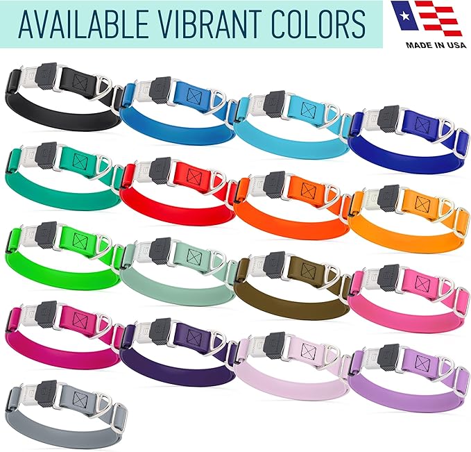 Dogline Biothane Waterproof Dog Collar with Herm Sprenger Black Stainless Steel Quick Release Buckle – Heavy Duty Tactical Durable Collar for Dogs – Comfortable, Safe Pet Collar W1 L15-25 Sage Green