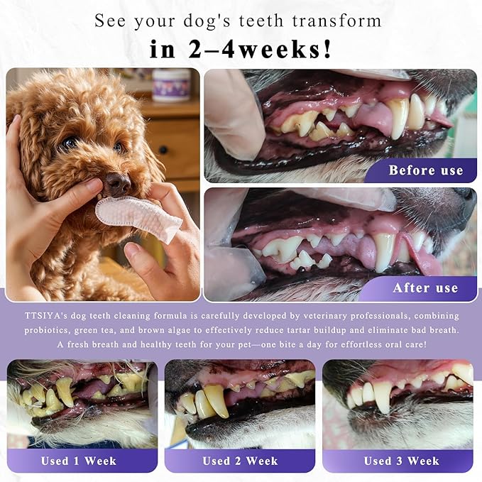 Dog Teeth Cleaning Powder, Pet Dental Powder -Dental Care, Dogs Breath Freshener with Probiotics for Tartar & Reduces Plaque & Bad Breath Teeth Cleaning for Small, Medium, Large Dogs 100g