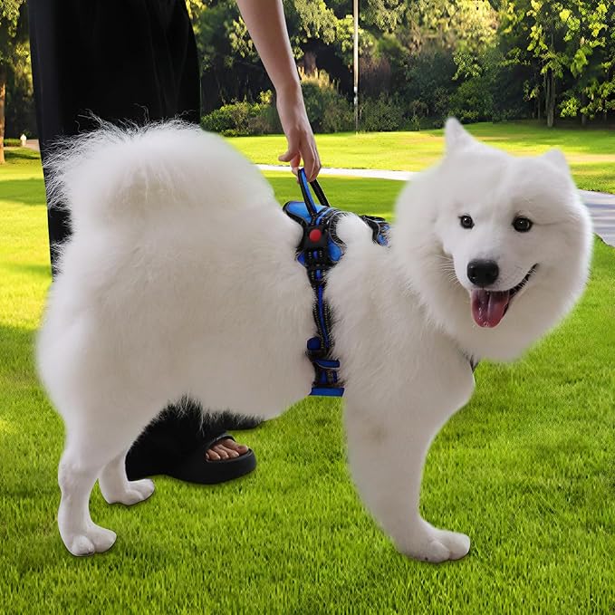 Dog Harness, Adjustable Reflective Dog Vest No Pull Dog Harness with Badge and Bow Tie for Puppy Small Medium Large Dogs