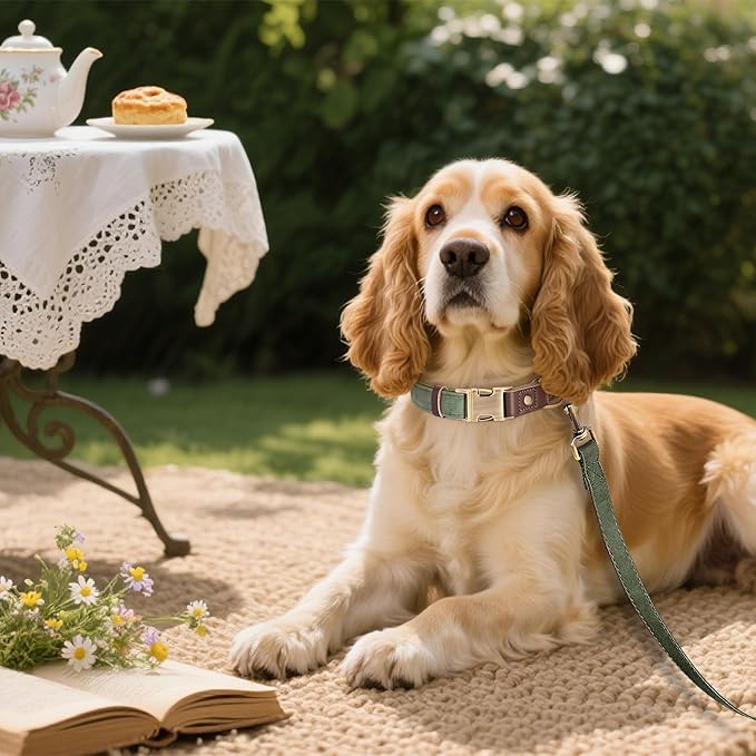 Didog Soft PU Leather Dog Collars for Medium Dogs,Classic Adjustable Dog Collars with Quick Release Metal Buckle,Easy Clean and Comfortable with Nylon Lining,Green,M Neck 13-19"