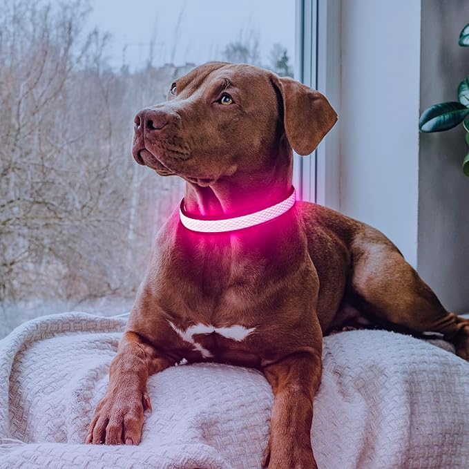 Flashseen LED Dog Collar, USB Rechargeable Light Up Dog Collar Lights, Adjustable Comfortable Soft Mesh Safety Pet Collar for Small, Medium, Large Dogs (Large, Candy Pink)