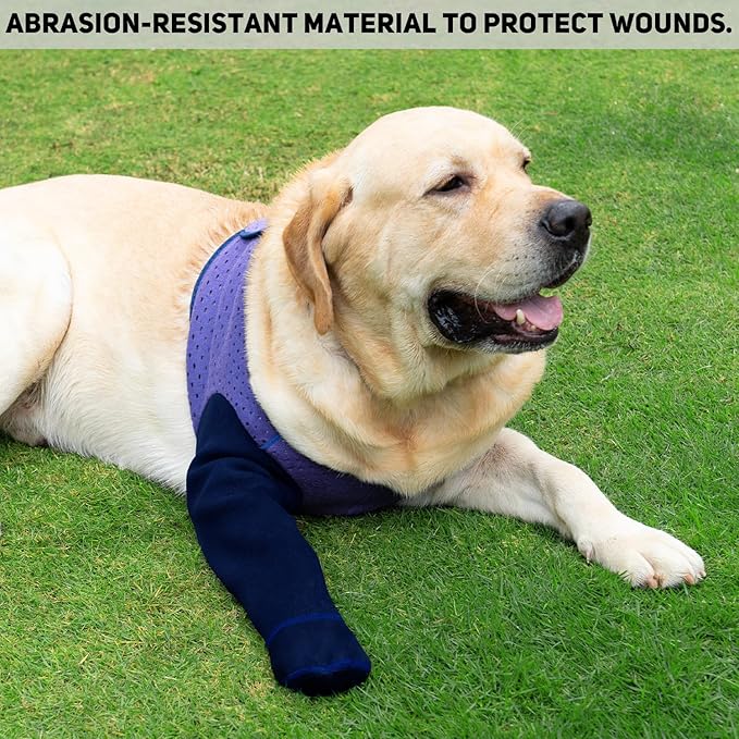 COODEO Dog Socks to Prevent Licking Paws, Healing Boots & Paw Protectors with Non-Slip Bottoms for Wound Protection, Waterproof Sleeve Shoes for Licking（Purple，XL_Right