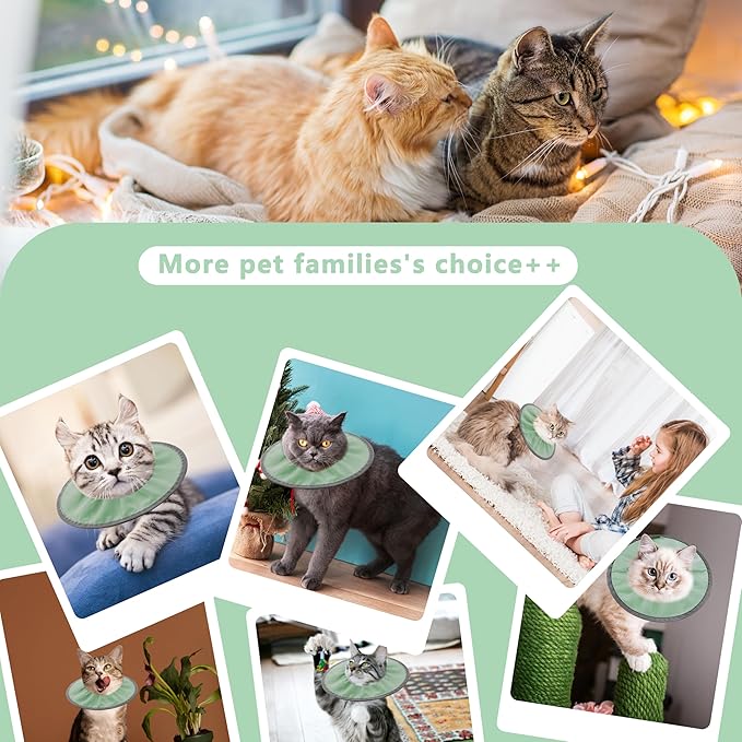 Lightweight Cat Cone Collar Soft, Soft Comfortable Cat Recovery Collar After Surgery, Elizabethan E Collar for Cats, Cone for Cats to Stop Licking (Mint Green, Small)