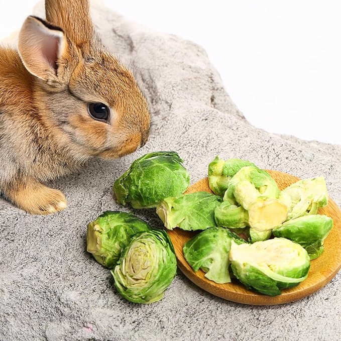 Abizoo Freeze Dried Brussels Sprouts Rabbit and Hamster Chew Treats Resealable Jar for Hamsters Bunny Guinea Pigs Groundhogs Natural Fiber Vitamin Snacks