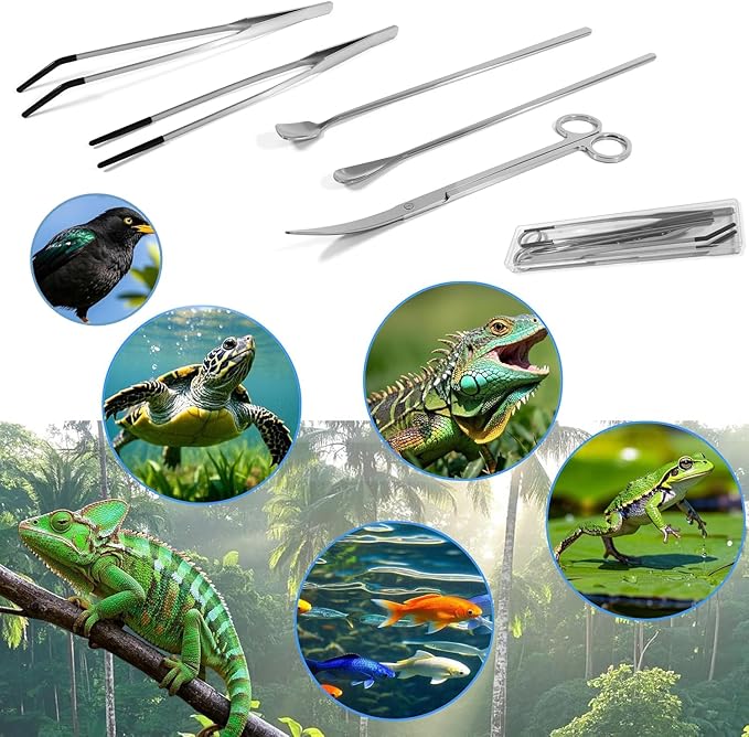 5 Pcs Reptile Feeding Tools Set with Silicone Tips - Extra Long Straight&Curved Tongs, Spoons, Scissors - Stainless Steel Terrarium Feeder Kit for Bearded Dragons, Lizards, Snake, Spiders, Aquarium