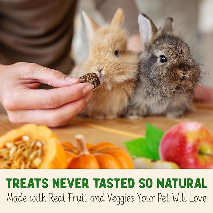 DOC EDDIE'S Digestive Bites - Plant-Based Small Animal Treats for Rabbits, Guinea Pigs, Hamsters, Gerbils, and More - Probiotics Supplement Made with Timothy Hay, Real Fruits, and Veggies