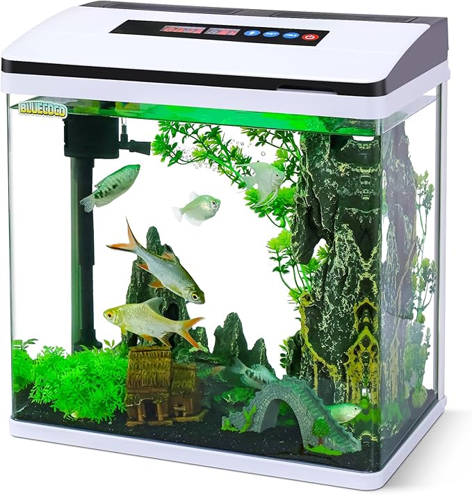 8 Gallon Fish Tank Starter Kit: Glass Aquarium w/Eco-Cycle Filter, 7-Color LED & Air Pump for Betta. Features 360° Crystal View, Temp/Time Display & Quiet Operation All-in-One Aquarium Kit