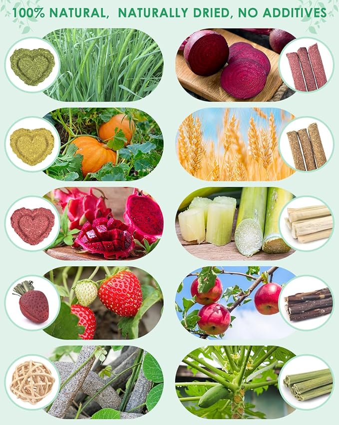 ERKOON 53 Bunny Chew Toys for Rabbits Teeth, Natural Rabbit Toys Apple Wood Sticks, Carrot, Timothy Grass for Small Pets, Hamster, Chinchilla, Guinea Pig Dental Care and Treat Teething(53)