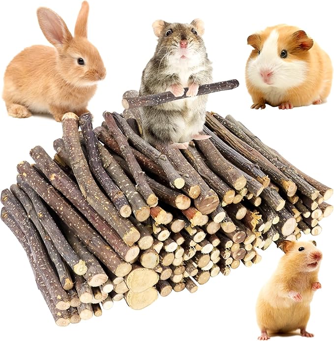 600g Small Apple Sticks Animals Molar Wood Treats Toys for Rabbits Chinchillas Guinea Pig Hamster Gerbil Parrot Bunny Chew Stick Toys Treats, 21.2 OZ