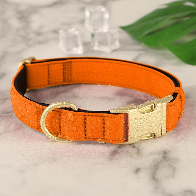 Didog Soft Padded Dog Collars for Small Dogs, Colorful and Durable Dog Collar with Quick Release Buckle, Light and Breathable for Daily Walking, Orange, S