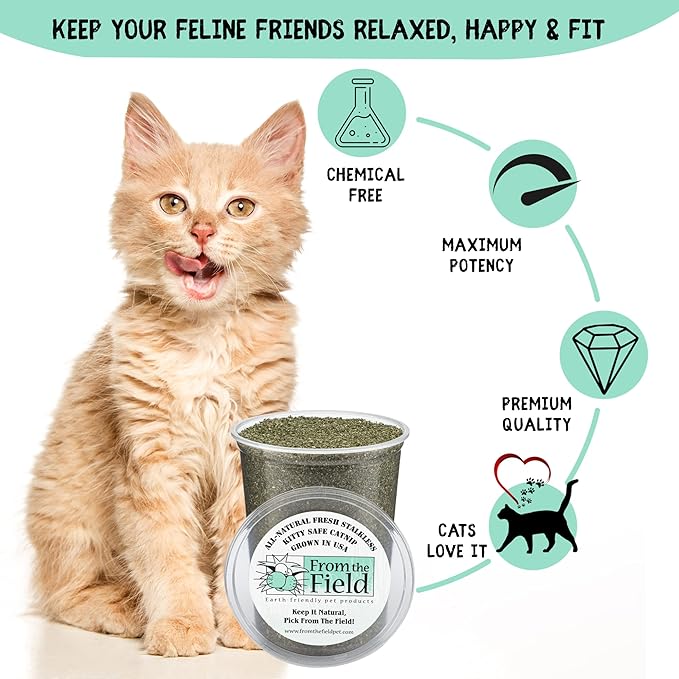 from The Field | Fine Ground Stalkless Catnip | Premium USA-Grown Catnip for Toys & Playtime | Fresh, Potent, Non-Toxic, Eco-Friendly | Safe for Kittens & Cats | Resealable 2 Oz Tub