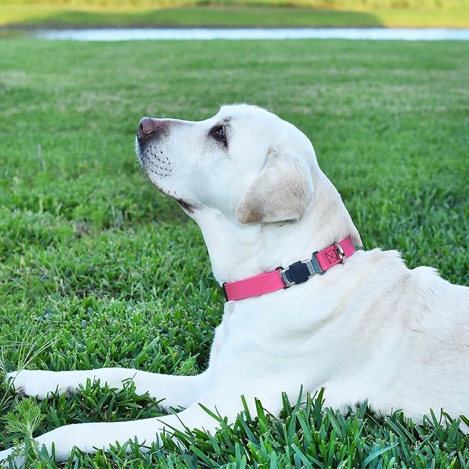 Dogline Biothane Waterproof Dog Collar with Herm Sprenger Stainless Steel Quick Release Buckle – Heavy Duty Tactical Durable Collar for Dogs – Comfortable and Safe Pet Collar, W 1" L 15-25", Pink