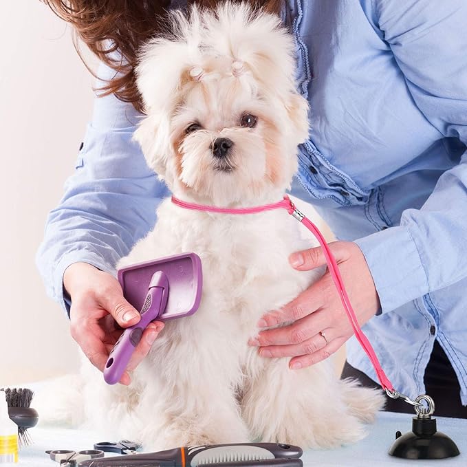 Frienda 4 Pieces Dog Bathing Tether with Suction Cup Pet Dog Grooming Tub Restraint Loops and Adjustable Cat Fixed Safety Rope for Pet Shower Bathing Grooming(Blue Black Pink)