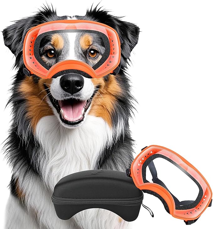 Dog Sunglasses UV Protection Clear Dog Goggles Windproof Glasses with Elastic Straps for Medium-Large Breed, Orange Frame + Clear Lens