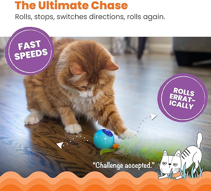 Catstages Roll & Chase Robot Toy –Interactive Electronic Cat Toy for Indoor with Feather Teaser Tail, Lights, USB Rechargeable, Automatic Moving Action for Active Play, Mental Stimulation & Enrichment