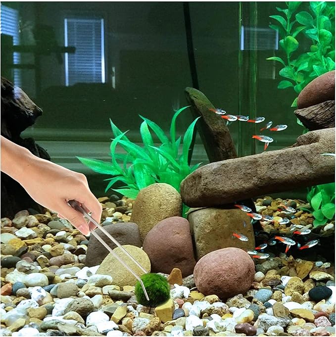 3 in 1 Aquarium Aquascape Tools Kit Long Stainless Steel Aquarium Tank Aquatic Plant Tweezers Scissors Tools