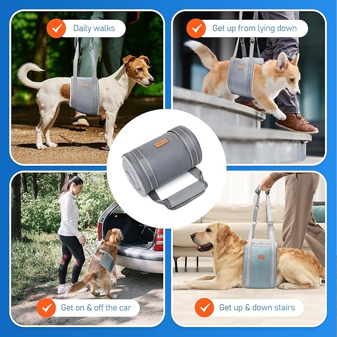 Dog Lift Harness for Large Dogs, Adjustable Dog Sling for Back Legs, Hip Support Harness to Help Lift Dogs Rear for Canine Aid and Old K9 Cruciate Ligament Rehabilitation - Large, Blue