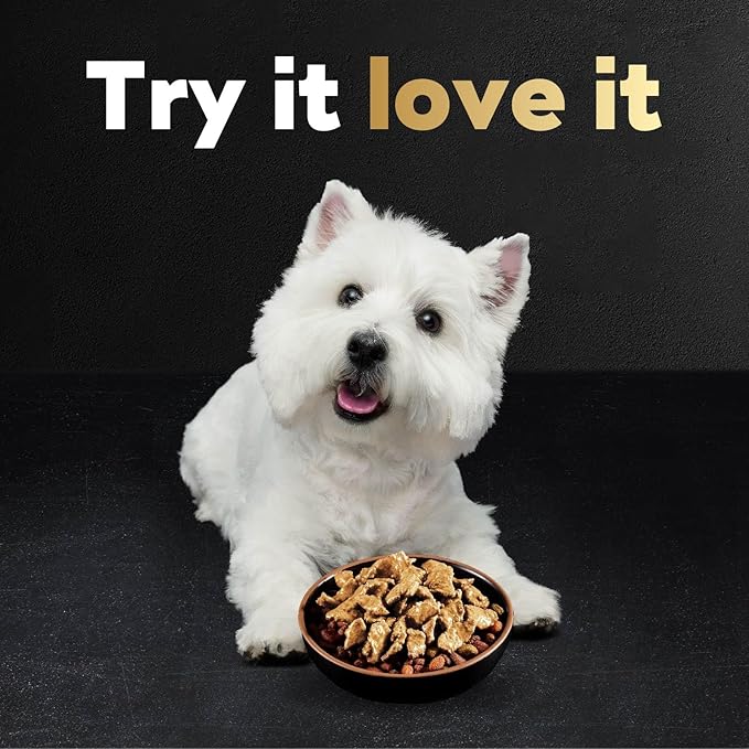 Cesar Filets in Gravy Wet Dog Food Wood-Grilled Chicken Flavor, 1.76 oz. Mini-Pouch (20 Count, Pack of 1)