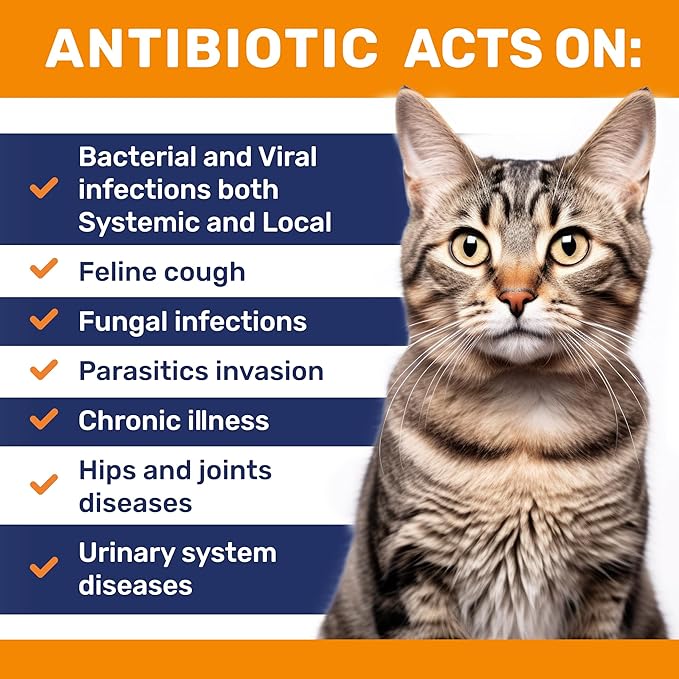 Cat Antibiotic to Help with Cough & Allergies – Antibiotics for Cats to Aid with UTIs and Digestive Moments – HIPS & Joints Support – Attractive Chicken Taste – 2 Oz Bottle