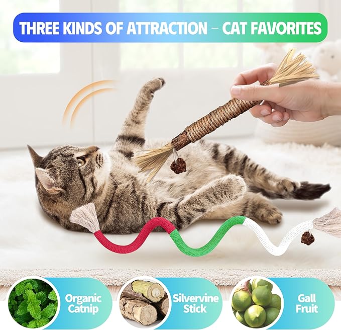 Cat Toys Chew Rope & Silvervine Sticks for Bored Indoor Adult Cats, 2Pcs Interactive Catnip Toys for Cats with Refillable Natural Catnip Bag for Teeth Cleaning