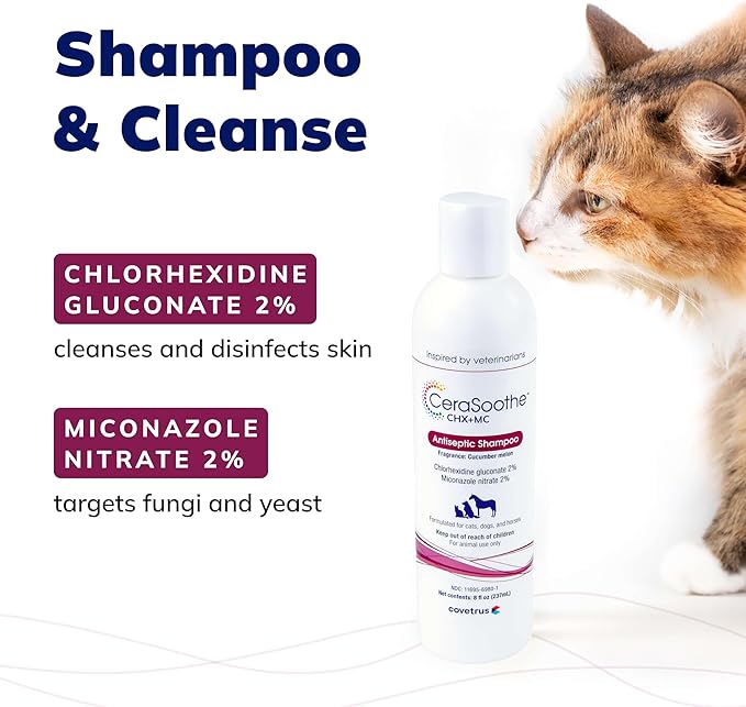 CeraSoothe® CHX+MC Antiseptic Shampoo 16oz