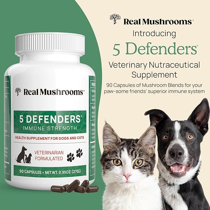 5 Defenders Mushroom Supplement for Cats & Dogs – Chaga, Shiitake, Reishi, Turkey Tail, Maitake – Cat Multivitamin & Dog Supplement for Wellness Support– 90 ct Real Mushrooms Powder Capsules