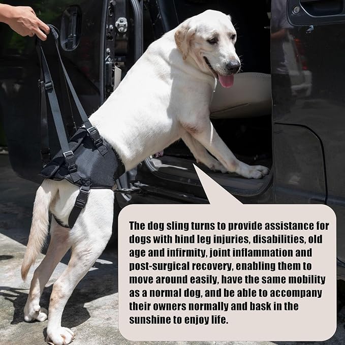 Dog Lift Harness for Dogs with Disabled Arthritis and Weak Back Legs, humanized Design with Comfortable Materials, Adjustable Back Legs and Straps, Suitable for Helping Dogs to Recover and Walk. (L)