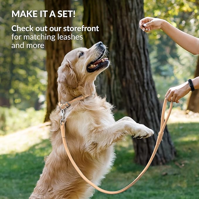 CollarDirect Rolled Leather Dog Collar, Soft Padded Round Puppy Collar, Handmade Genuine Leather Collar Dog Small Large Cat Collars 13 Colors (6 Inch, Beige Smooth)