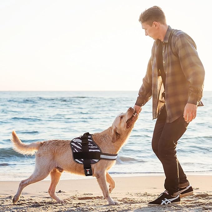 Dogline Dog Harness, Reflective No-Pull Adjustable Vest with Handle for Walking, Training, Breathable, No - Choke Harness for Small, Medium or Large Dogs Room for Patches Zebra Black/White M 22"-28"