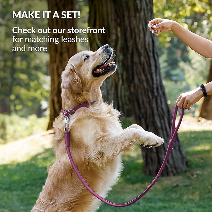 CollarDirect Rolled Leather Dog Collar, Soft Padded Round Puppy Collar, Handmade Genuine Leather Collar Dog Small Large Cat Collars 13 Colors (6-7 Inch, Pink Smooth)