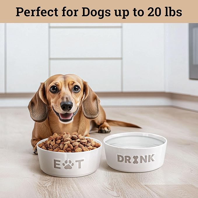 Ceramic Dog Bowl Set of 2 with Anti-Skid Base - 5" Wide x 2" Tall Ceramic Dog Bowls for Small Dogs - 2 Cup Capacity Food and Water Bowls for Dogs - Rubber Bottom Pet Bowl Set of 2 for Small Pets