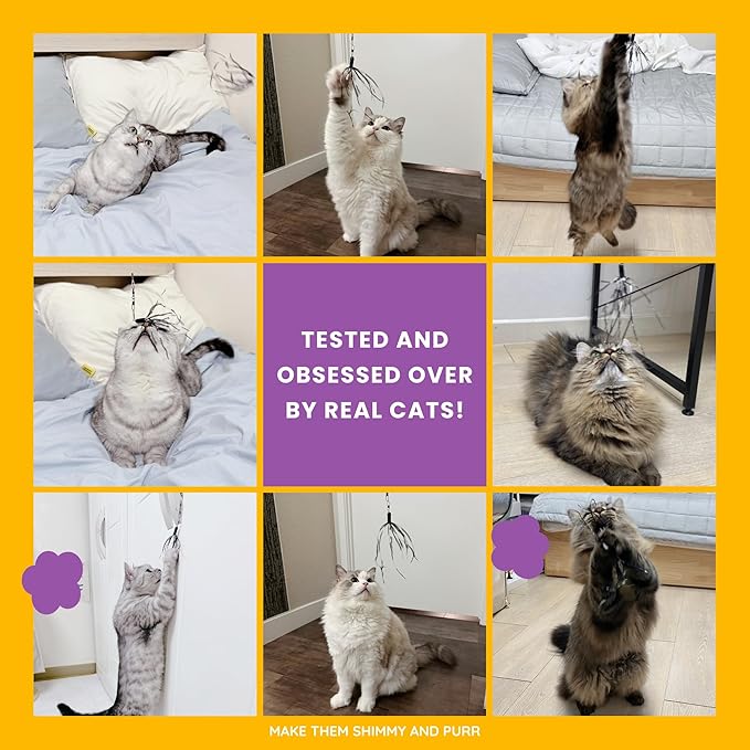 Cat Wand 38" - Retractable Cat String Toy with Spider Teaser and Refill, Perfect Interactive Toy for Indoor Cats and Kittens