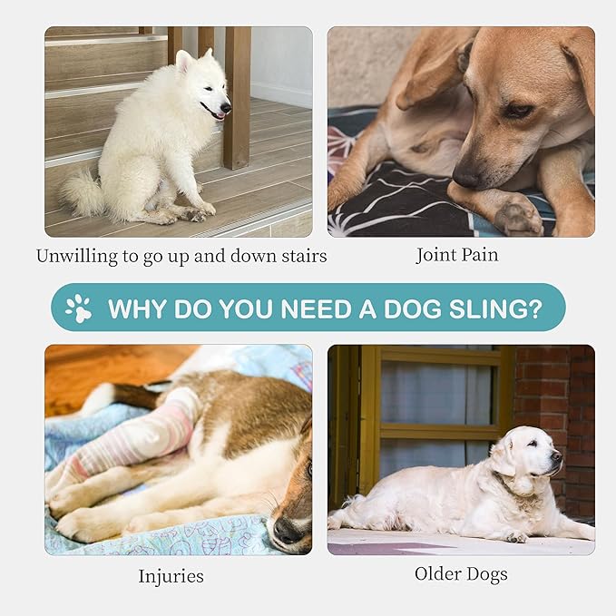 Dog Lift Harness for Large Dogs – Hind Leg Support Sling for Muscle Atrophy, Joint Pain, and Senior Pets, Adjustable Design Helps with Walking, Stairs, and Daily Mobility, L